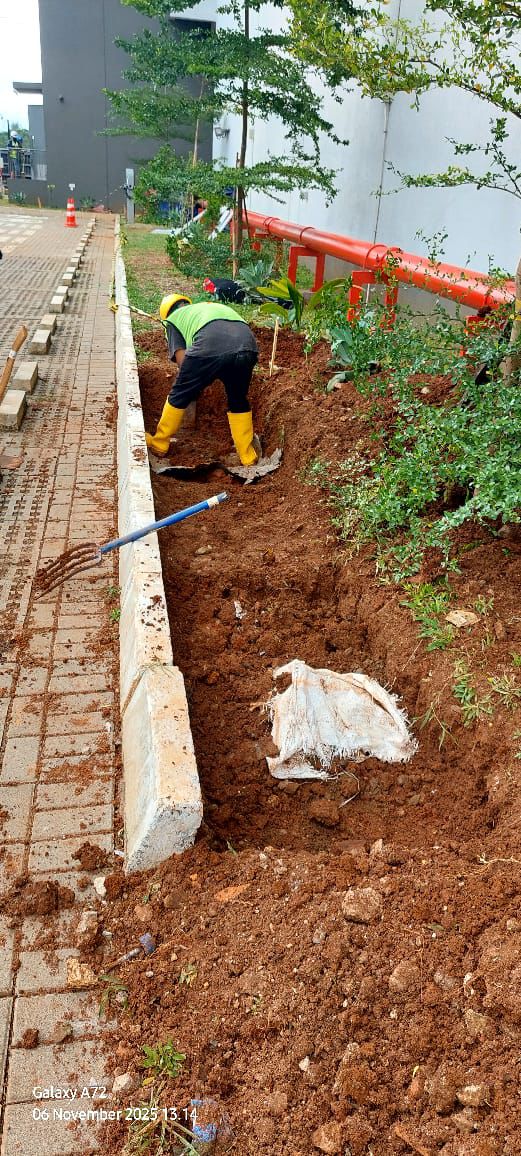 Soil Compaction Heavy Crane - Foto 2