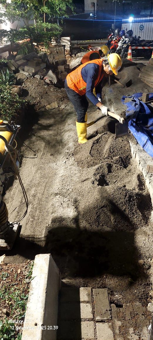 Soil Compaction Heavy Crane - Foto 4